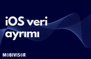 Veri Ayrımı