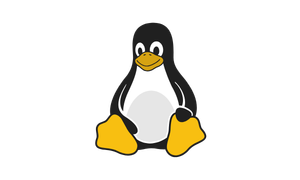 Linux cihaz yönetimi — MobiVisor MDM Linux desteği
